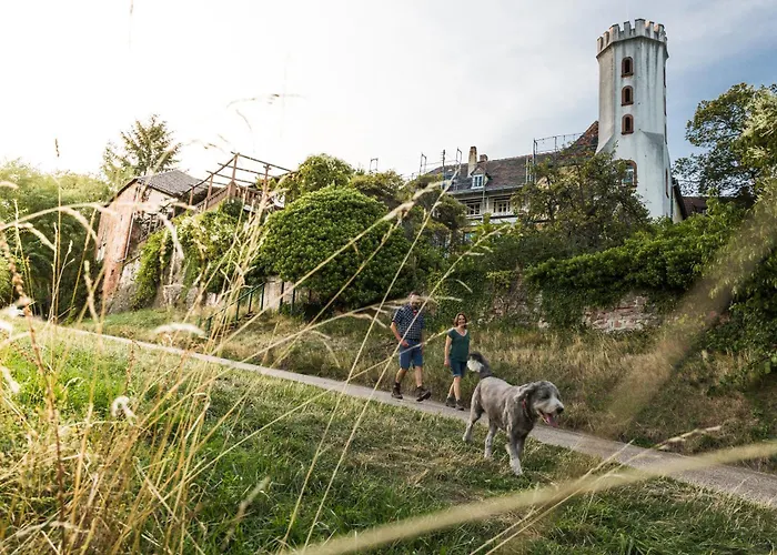 Апартаменты 